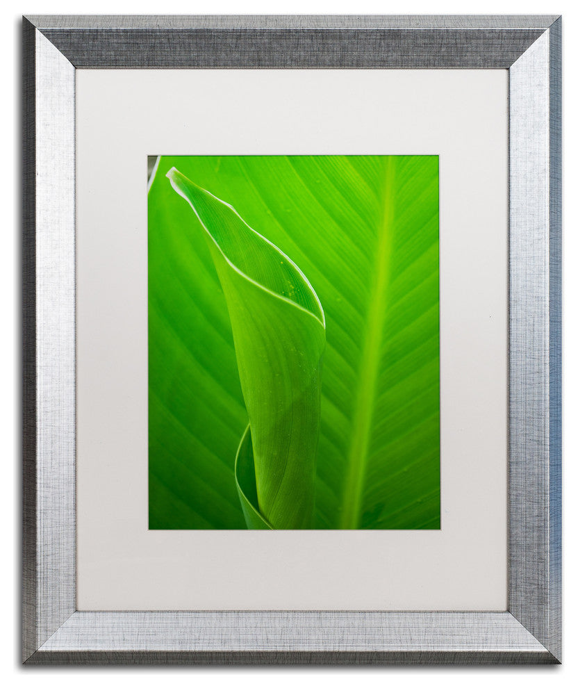 PIPA Fine Art 'Leaves Canna Lily' Matted Framed Art, 20x16