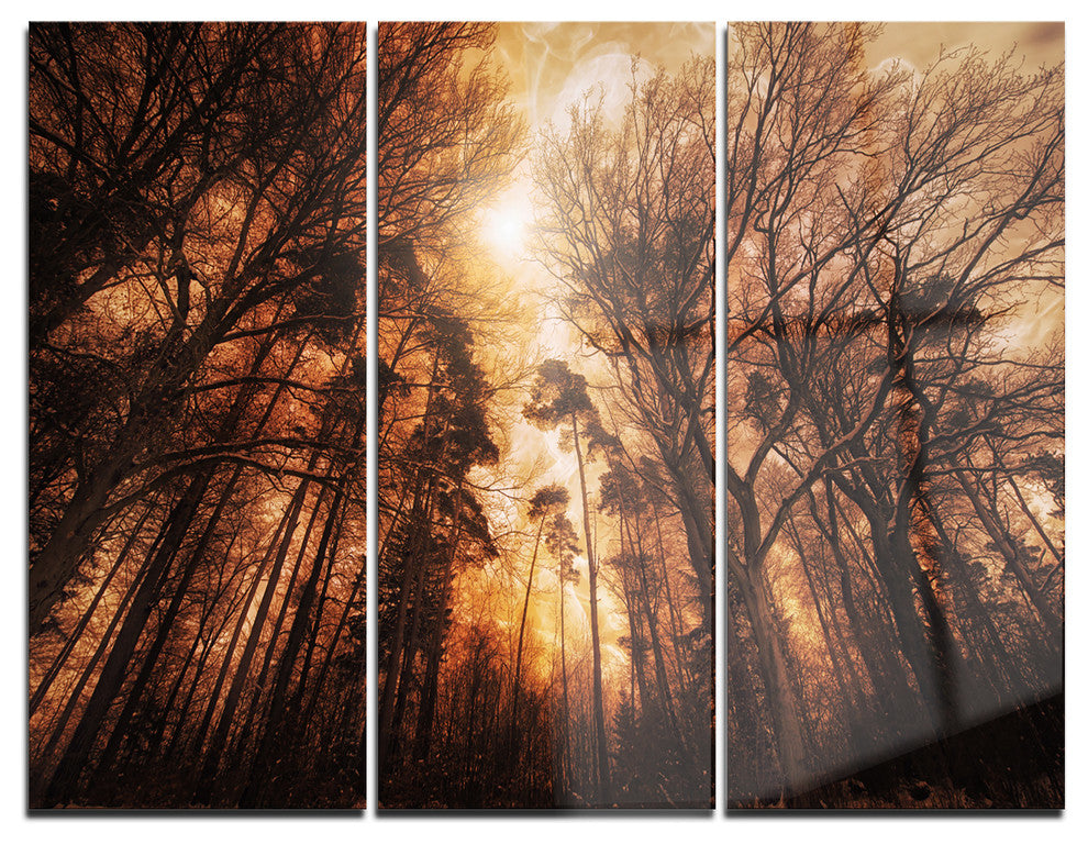 "Picturesque Autumn Forest" Photo Metal Wall Art, 3 Panels, 36"x28"