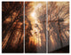 "Picturesque Autumn Forest" Photo Metal Wall Art, 3 Panels, 36"x28"
