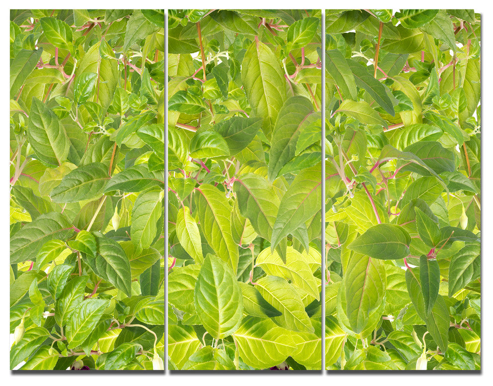 Bright Fuchsia Green Foliage, Floral Triptych Canvas Art Print, 36x28, 3 Panels