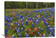 "Bluebonnet And Paintbrush Meadow, Cedar Hill State Park, Texas" Artwork