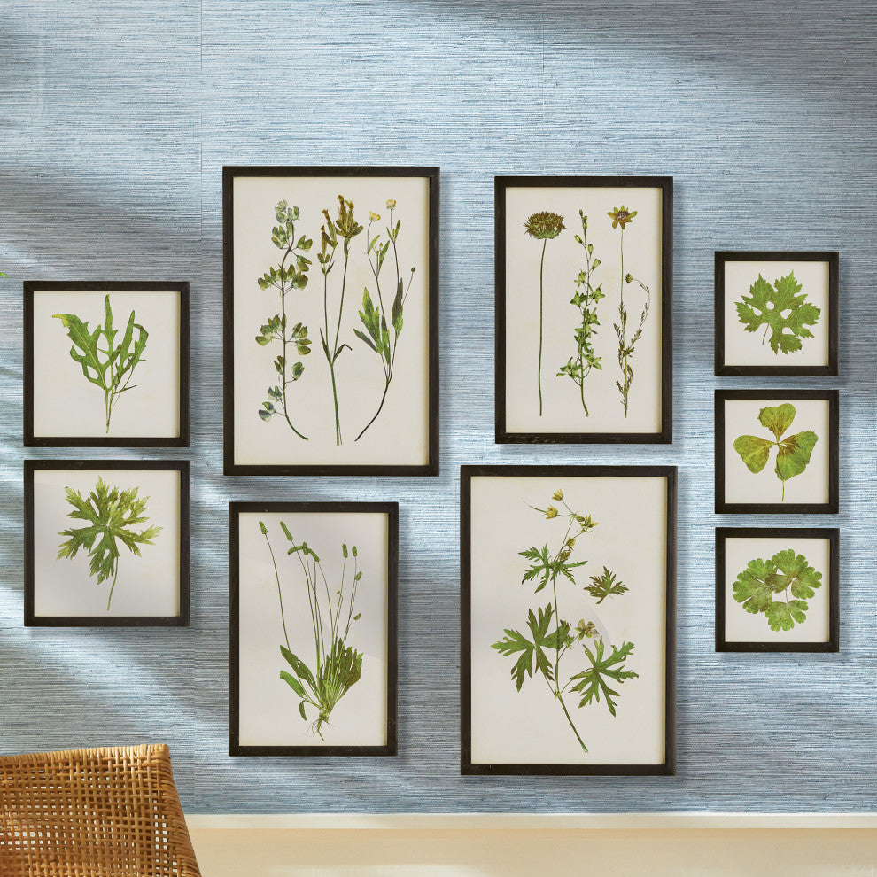 Foliage Prints, Set of 9