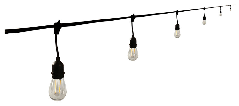 24' Indoor/Outdoor 12-Bulb Standard LED String Light