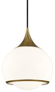 Reese 1-Light Medium Pendant, Aged Brass