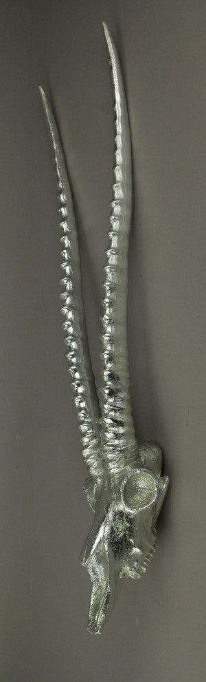 Metallic Silver Finish Antelope Antlers Wall Hanging