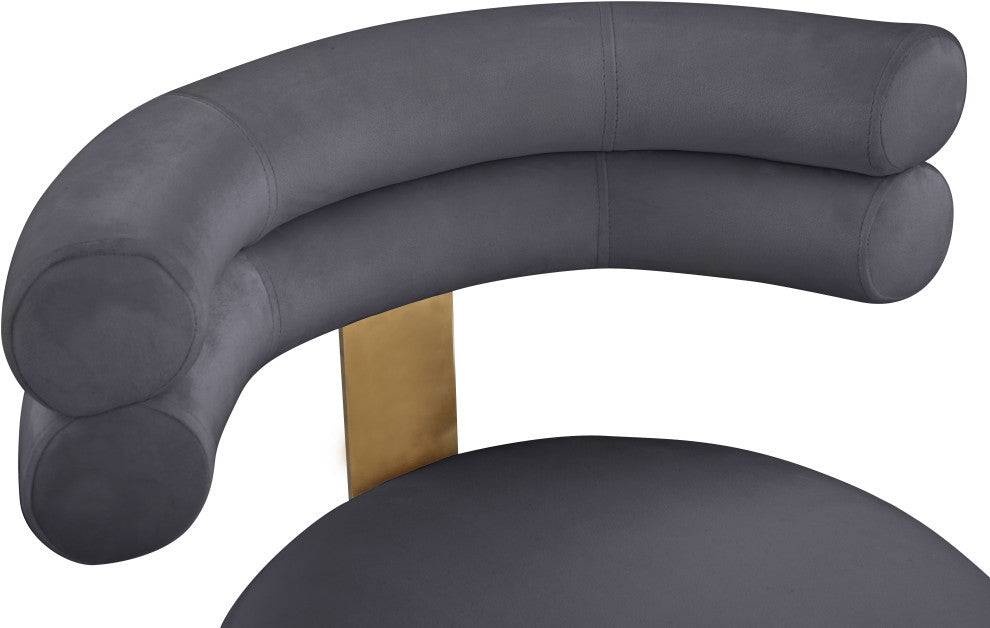 Fitzroy Velvet Upholstered Dining Chair (Set of 2), Gray