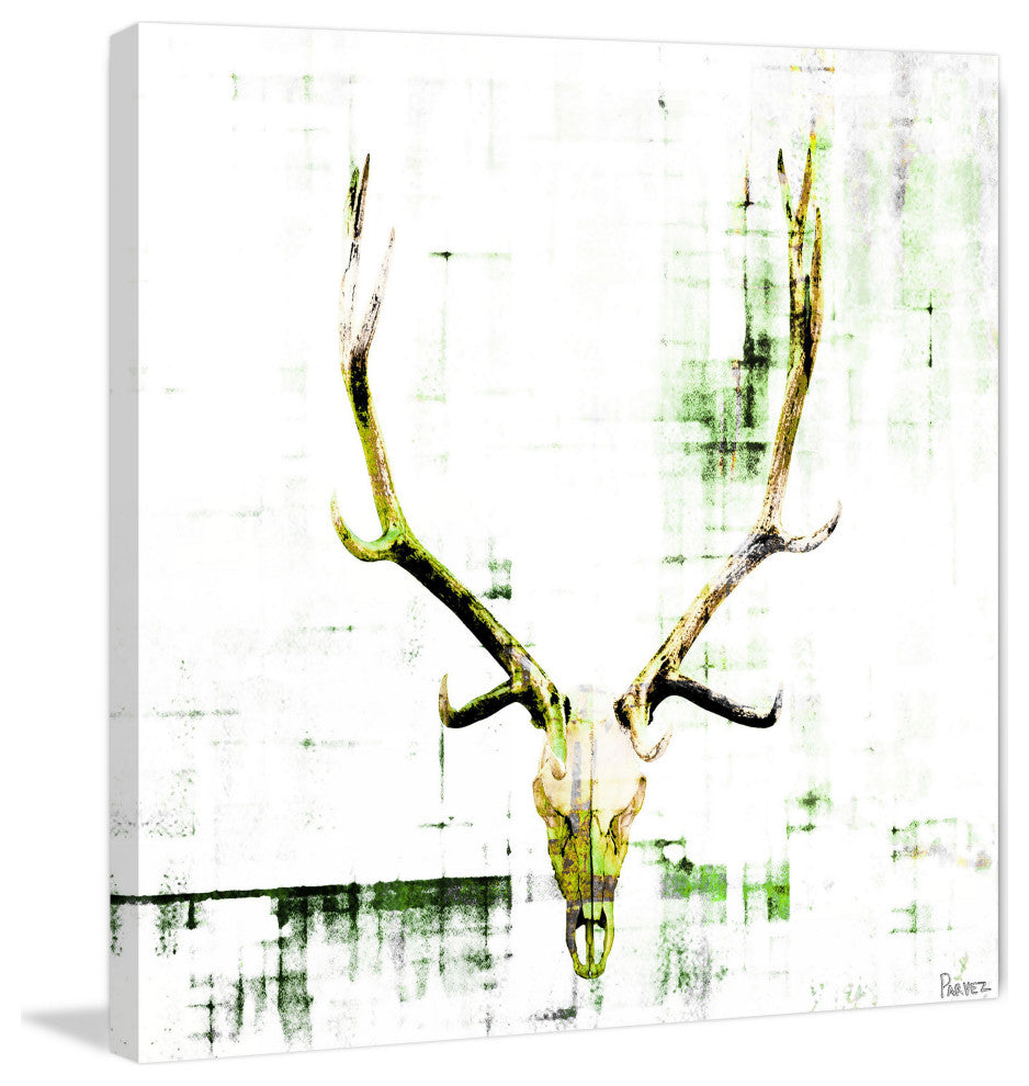 "Antler" Fine Art Canvas Print, 18"x18"