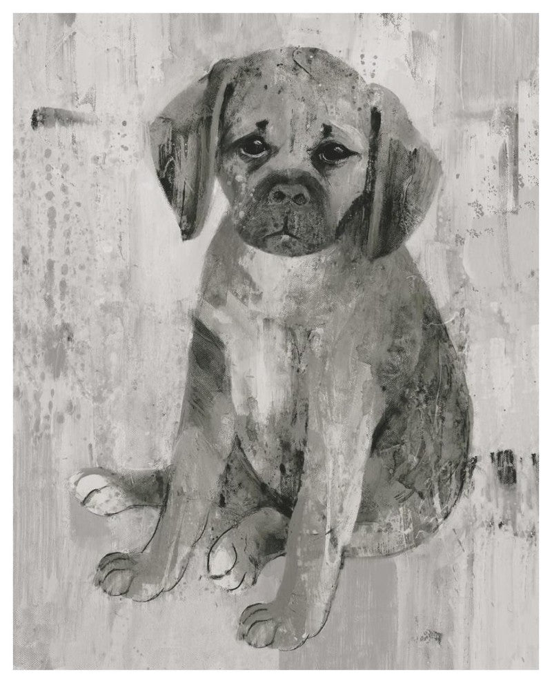 "Paco in Grey Tones" Digital Paper Print by Albena Hristova, 24"x30"