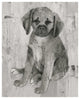 "Paco in Grey Tones" Digital Paper Print by Albena Hristova, 24"x30"