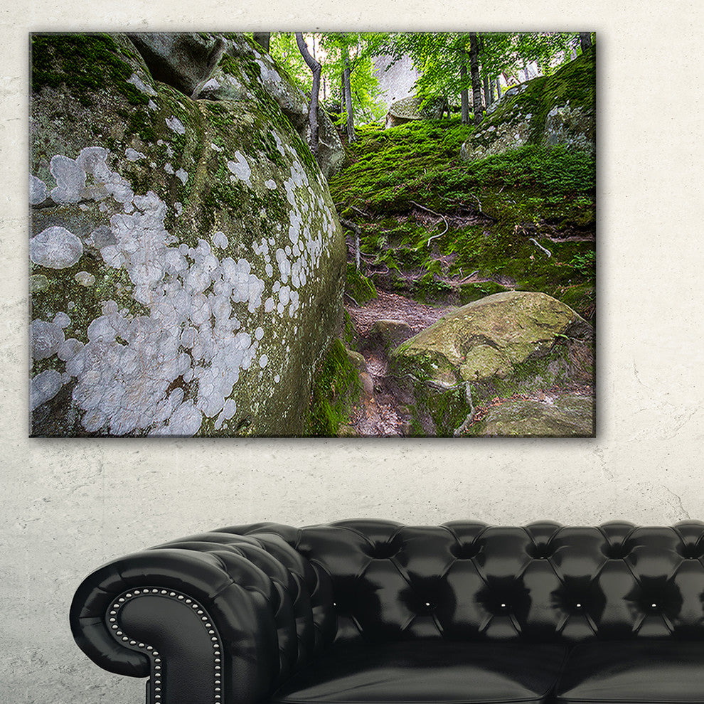 "Large Rocks in Deep Moss Forest" Landscape Art Print Canvas, 32"x16"
