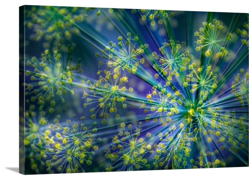 "Dill " Wrapped Canvas Art Print, 36"x24"x1.5"