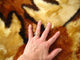 Moose Playmat Rug, 28"x45"