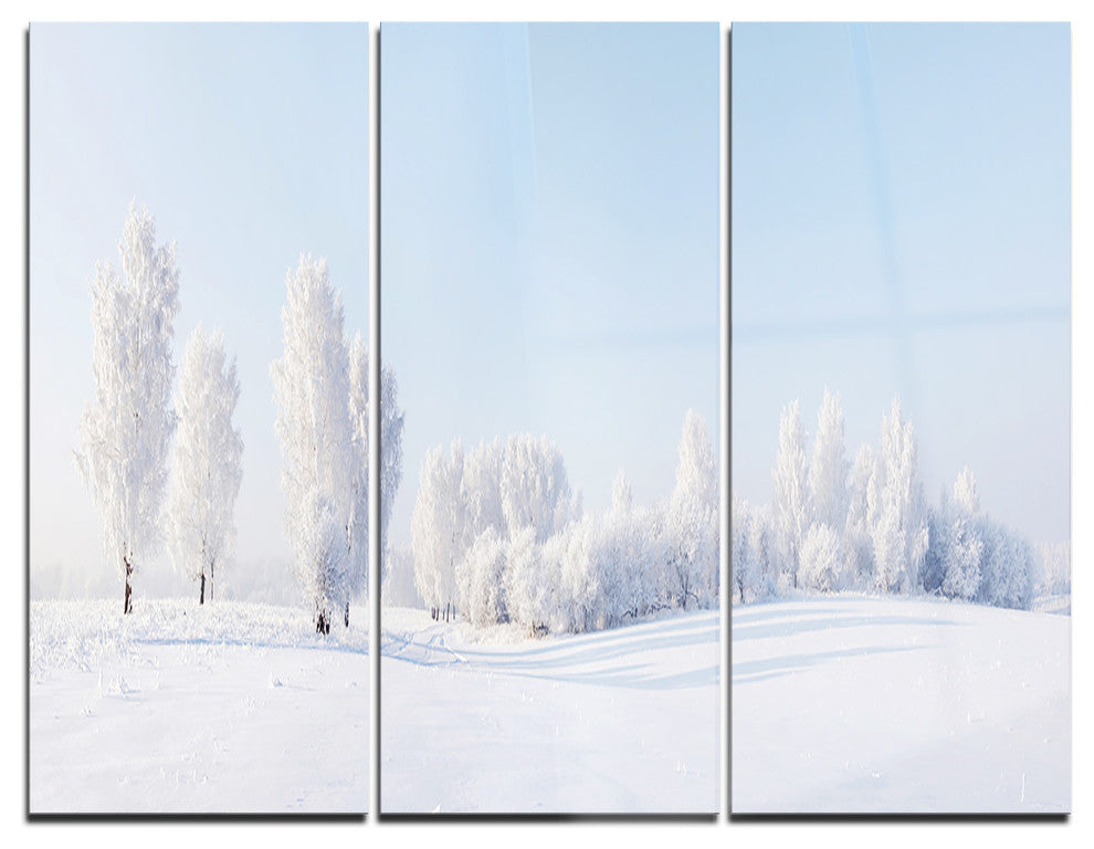 "Winter Trees Covered With Frost" Photo Metal Wall Art, 3 Panels, 36"x28"