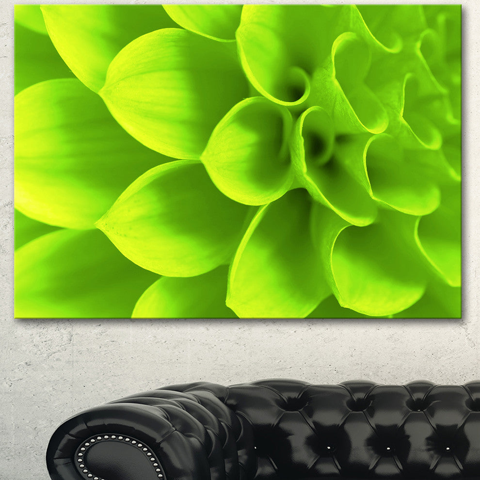 Bright Green Flower Petals, Floral Canvas Art Print, 40"x30"