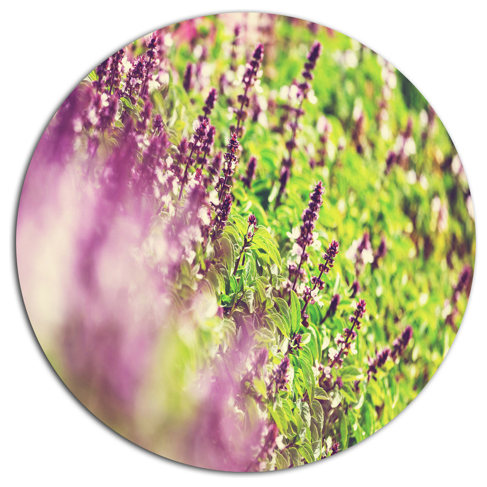 Beautiful Mint Flowers In Garden, Flower Large Disc Metal Wall Art, 23"