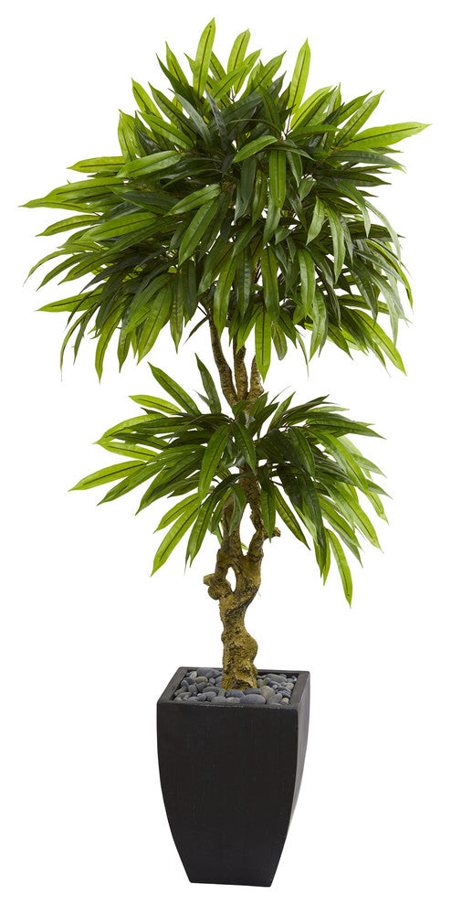 5.5' Mango Artificial Tree, Black Wash Planter UV Resistant, Indoor/Outdoor