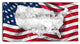 "Map and Flag of America" Canvas Painting