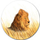 Lion Watching The Surroundings, Animal Art Round Wall Art, 36"