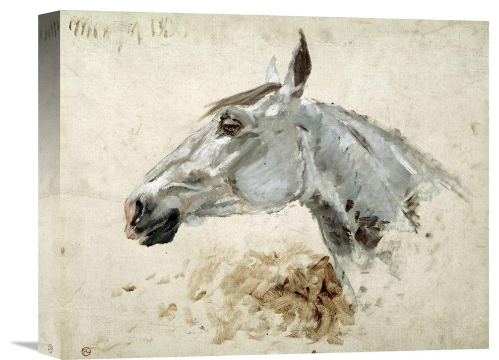 "Testo Di Cavallo" Artwork, 16"x12"