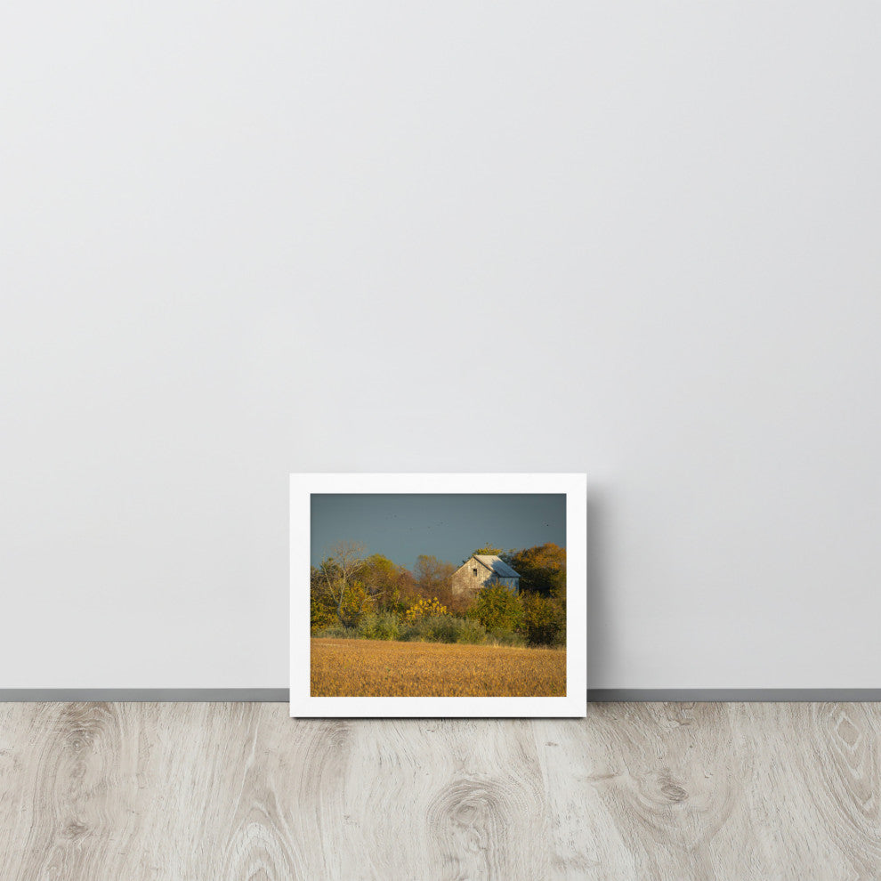 Abandoned Barn In The Trees Framed Photo Paper Wall Art Prints, Red Oak, 11" X 14"