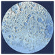 "Unmarked Decorative Topographic Map of the Moon, North Pole" Paper Art, 20"x20"
