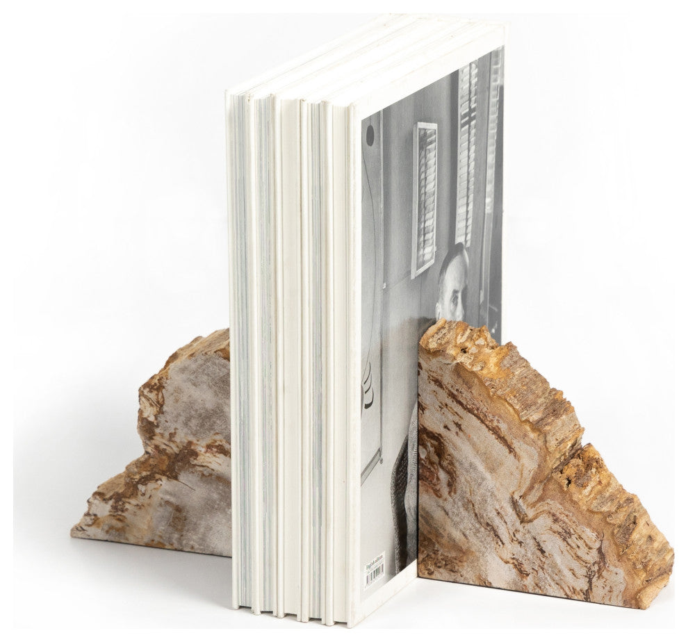 Petrified Wood Book Ends-Light