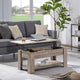 Lift Top Coffee Table with Hidden Compartment and Storage Shelf, Grey