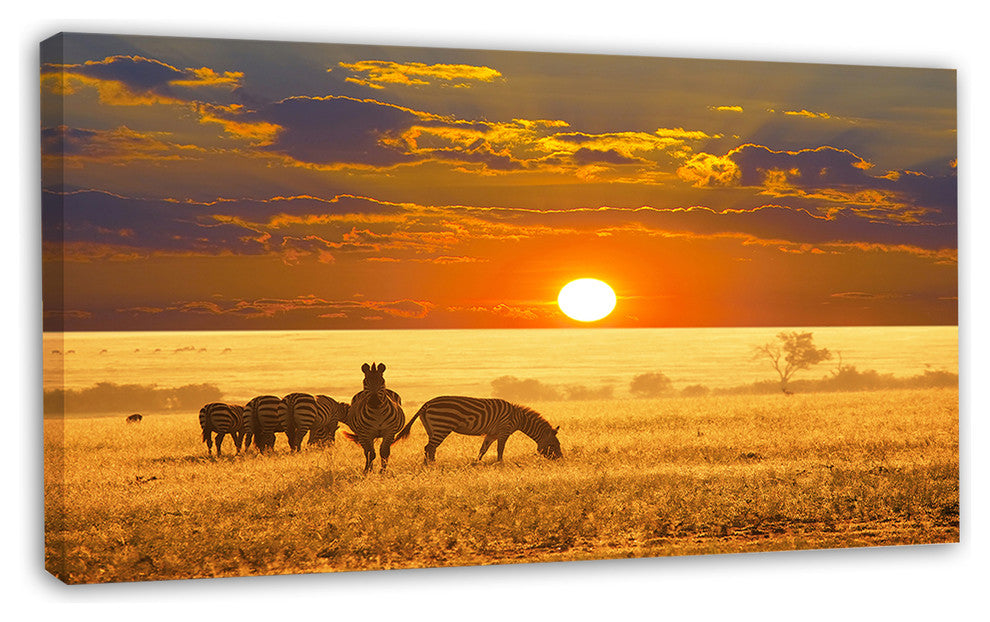 Group of Zebras Grazing At Sunset, Animal Canvas Art Print, 32"x16"
