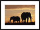 African Elephant Mother And Calf Silhouetted At Sunset, Kenya, 30"x22"