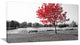 Red Tree over Park Bench, Landscape Canvas Art Print, 32"x16"