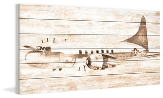 "In Flight 2" Print on White Wood