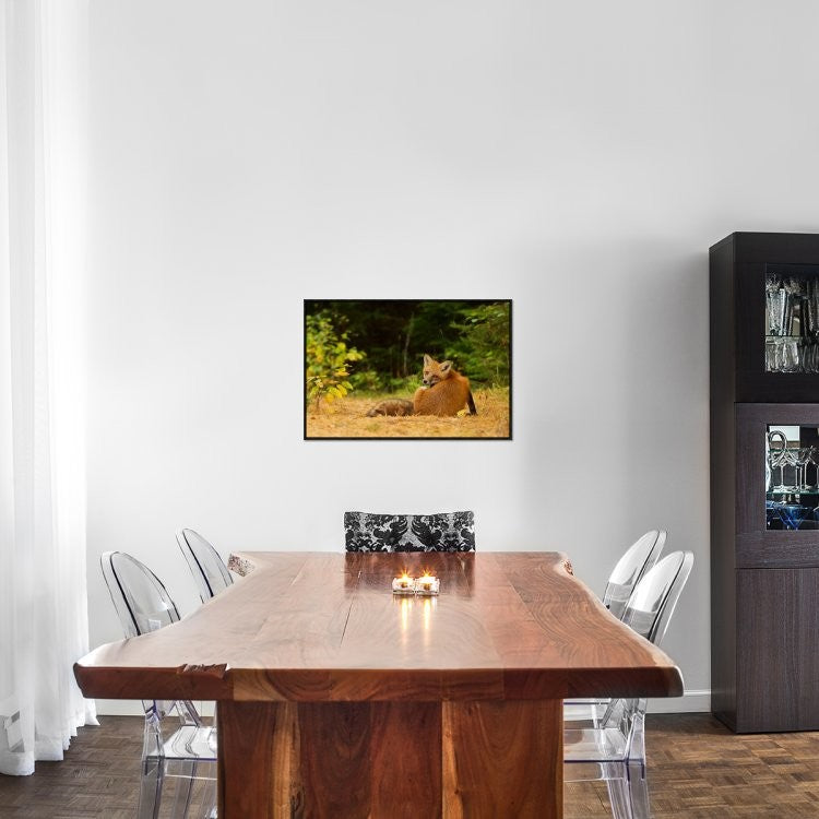 "Redfox, Algonquin Park" Framed Canvas Giclee by Jim Cumming, 31x21"