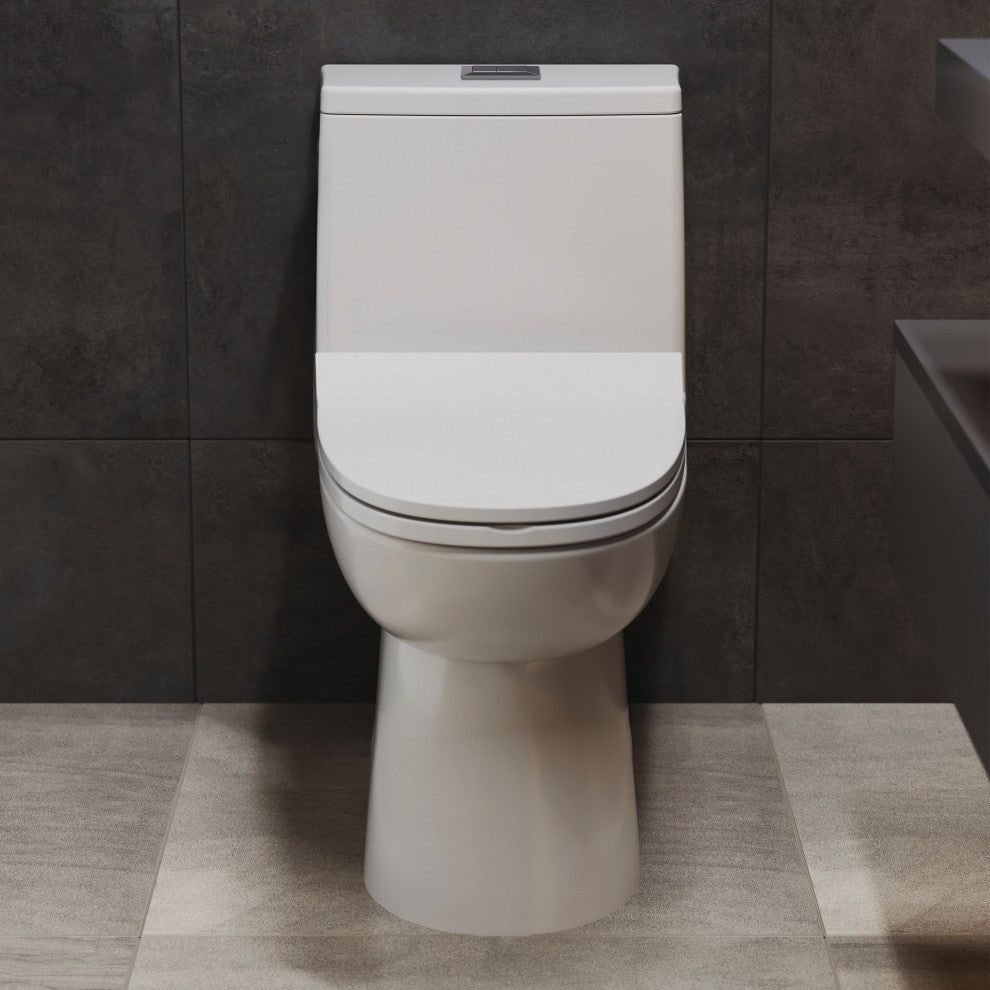 Daxton One Piece Elongated Dual Flush Toilet 1.1/1.6 GPF