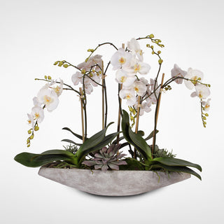 Real Touch White Phalaenopsis  Orchids, Stone Boat Pot