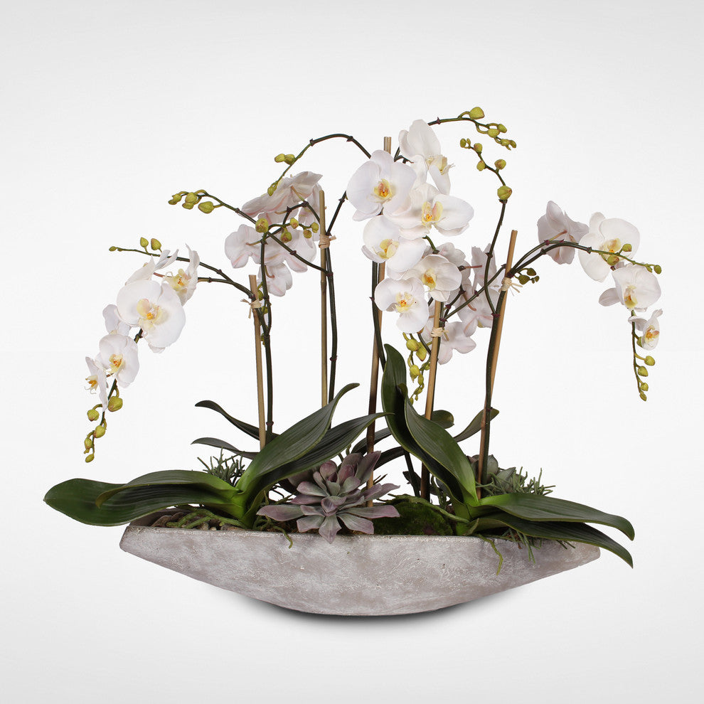Real Touch White Phalaenopsis  Orchids, Stone Boat Pot