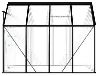 vidaXL Greenhouse Patio Outdoor Grow House with Base Frame Anthracite Aluminum