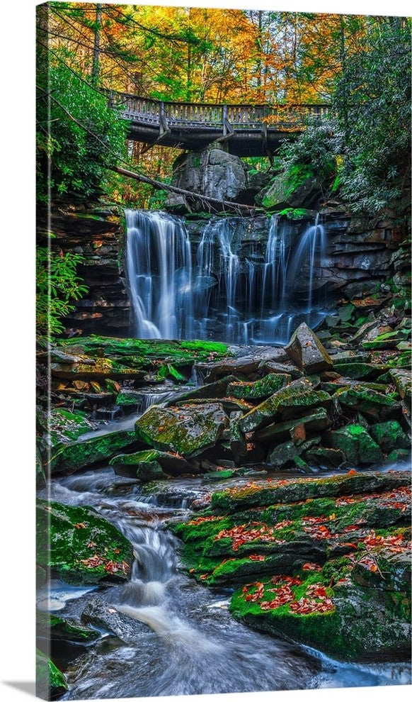 "Elakala Falls" Wrapped Canvas Art Print, 22"x36"x1.5"