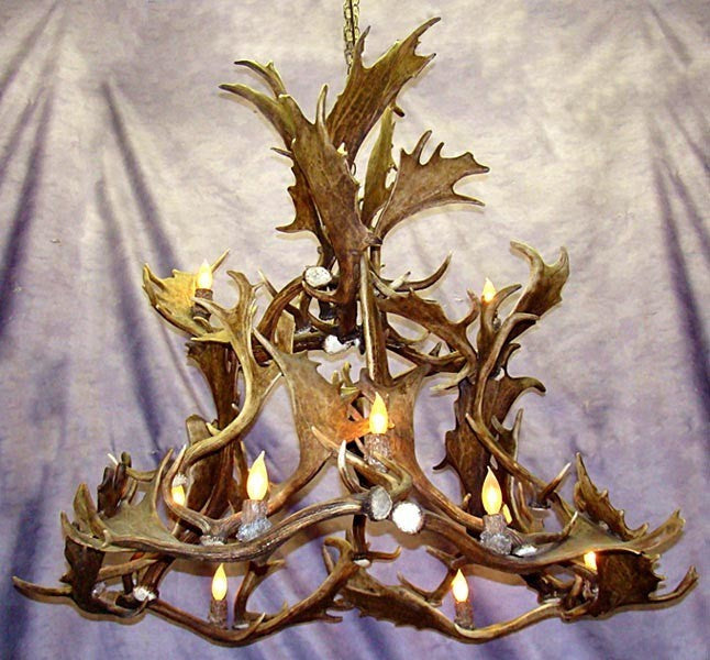 Real Antler Fallow Deer Colorado Chandelier Light