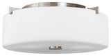 2-Light Indoor Flush Mount, Brushed Steel