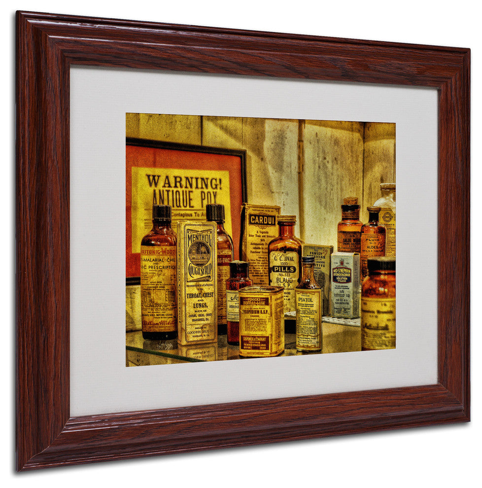 'Vintage Medicines' Matted Framed Canvas Art by Lois Bryan