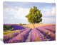 Lonely Green Tree in Lavender Field, Extra Large Landscape Canvas Art, 60"x28"