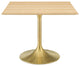 Lippa 40" Square Wood Dining Table, Gold Natural