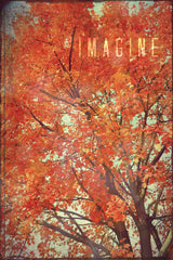 "Imagine" Painting Print on Wrapped Canvas
