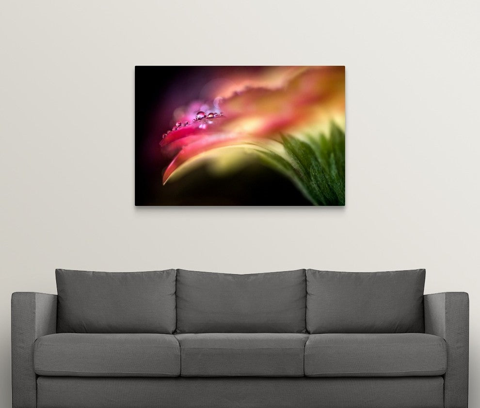 "Extreme Dew " Wrapped Canvas Art Print, 48"x32"x1.5"