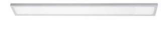 Delgado 48'' LED Linear Flush Mount - 120V - White