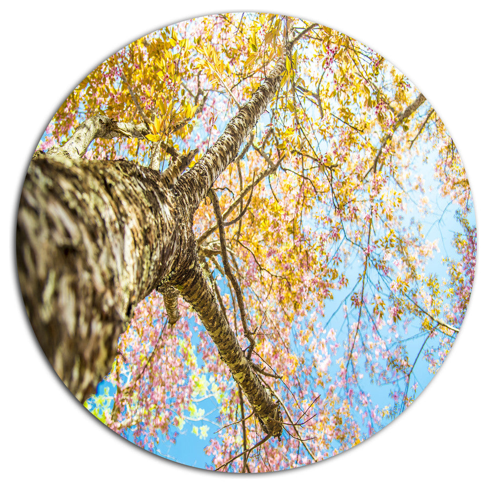 Under Branch Of Yellow Cherry Tree, Trees Large Disc Metal Artwork, 11"