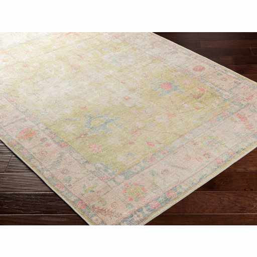 Hauteloom Bozkurt Distressed Washable Rug, 2'7"x10' Runner
