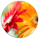 Red And Yellow Daisy Flower, Modern Floral Round Wall Art, 23"