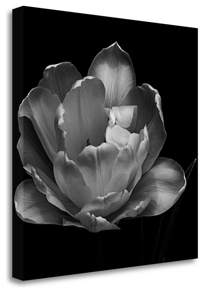 "Summers Comfort" By Charles Britt, Giclee Print on Gallery Wrap Canvas