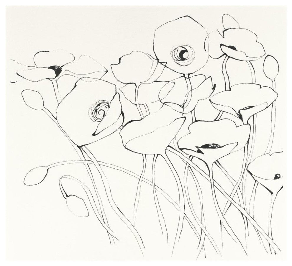 "Black Line Poppies I" Digital Paper Print by Shirley Novak, 42"x42"